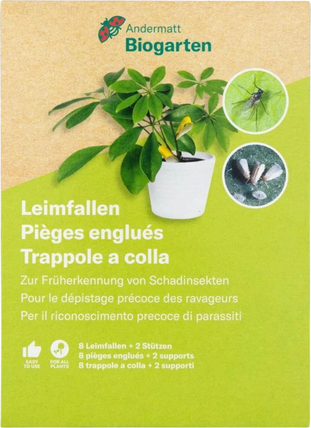 Leimfallen Gelb
