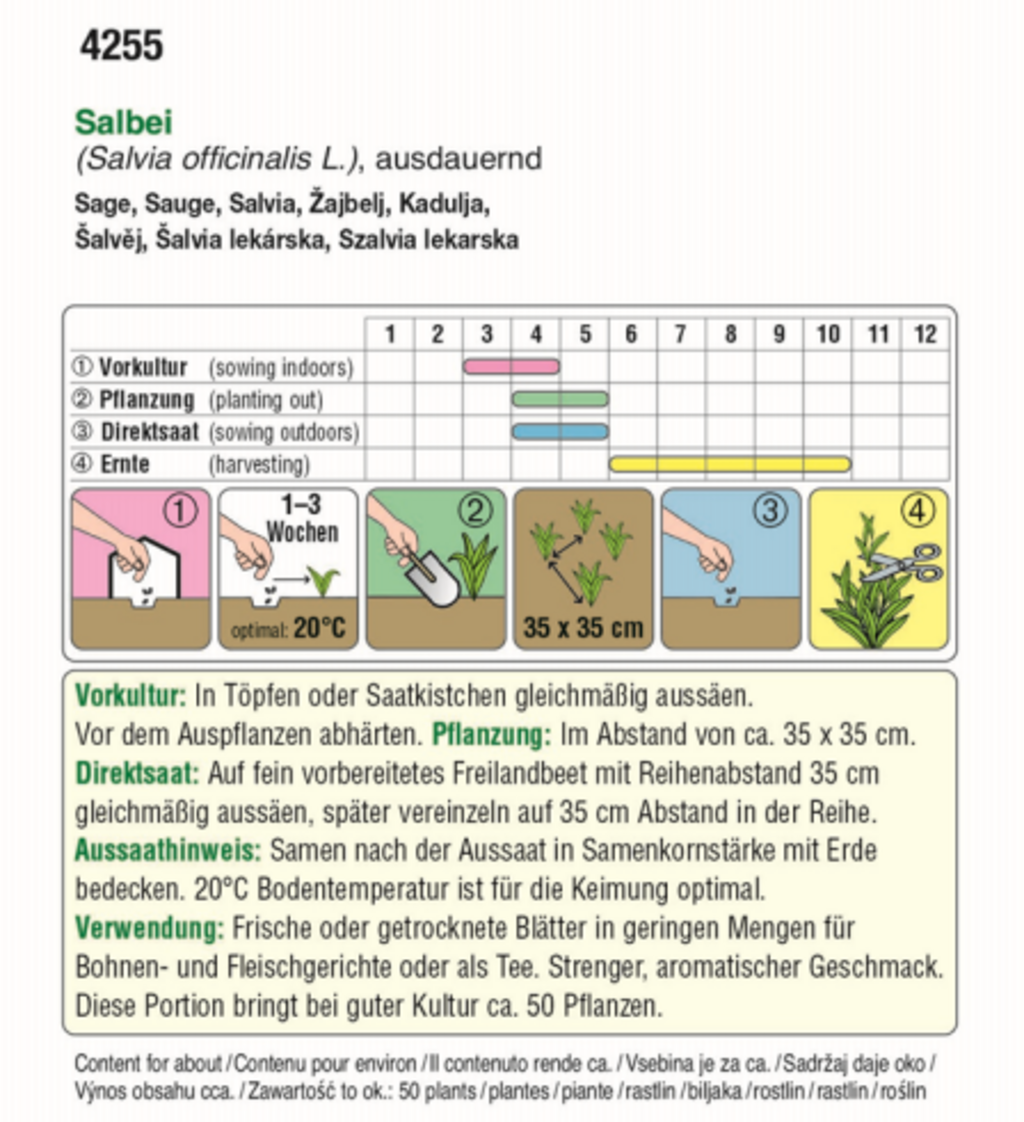 Salbei