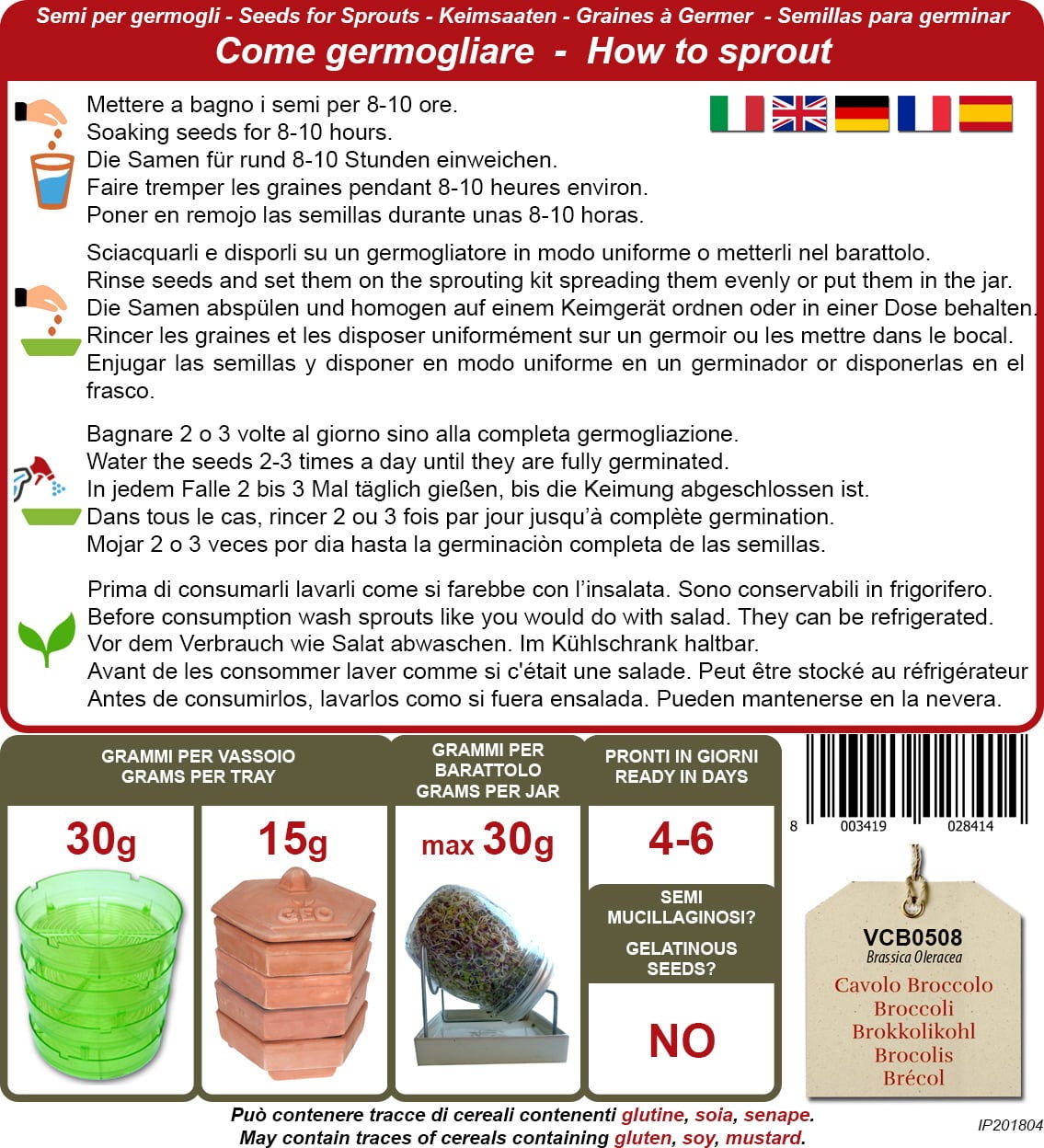 Bio Keimsprossen "Brokkolikohl", 13 G