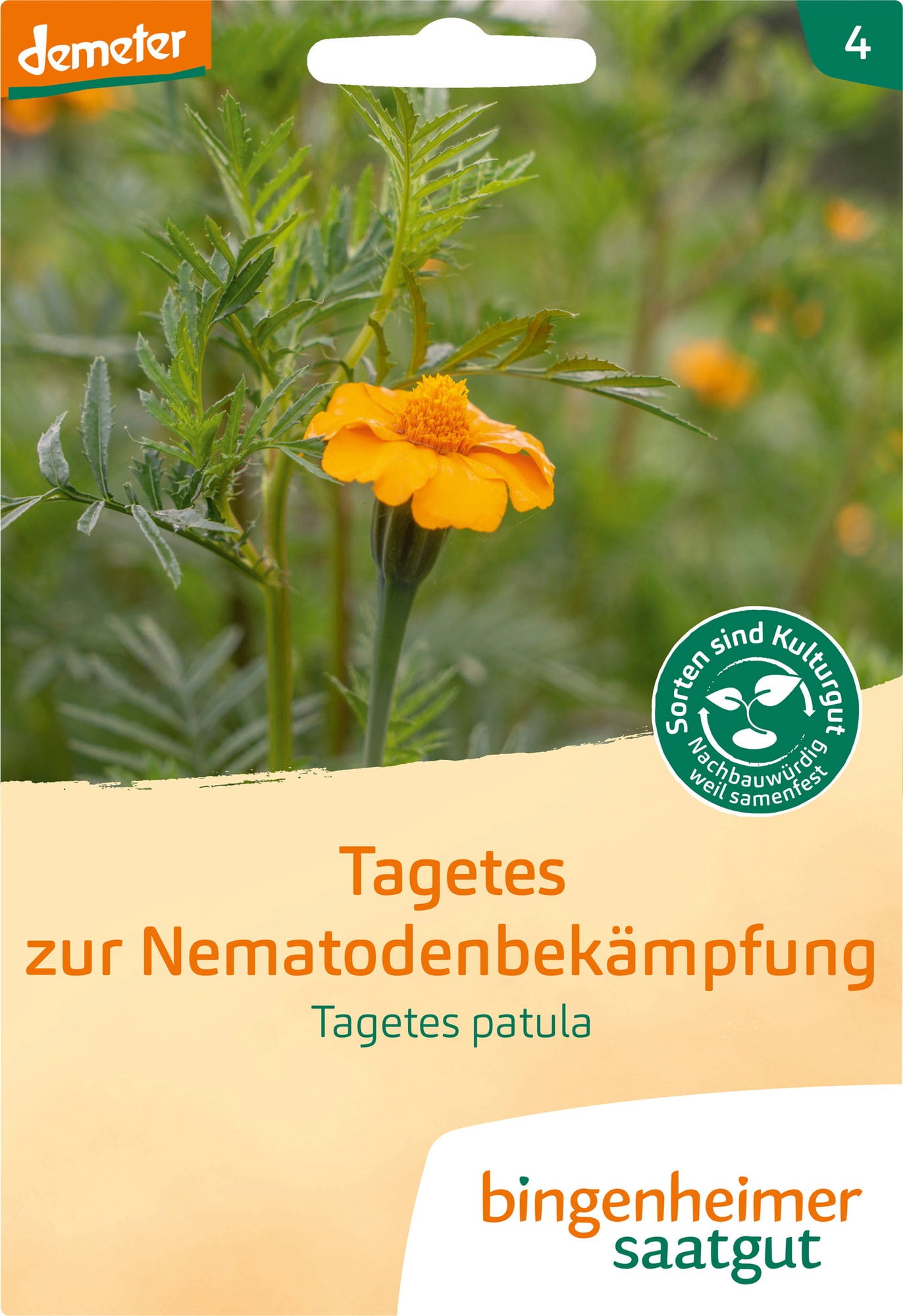 Tagetes Zur Nematodenbekämpfung