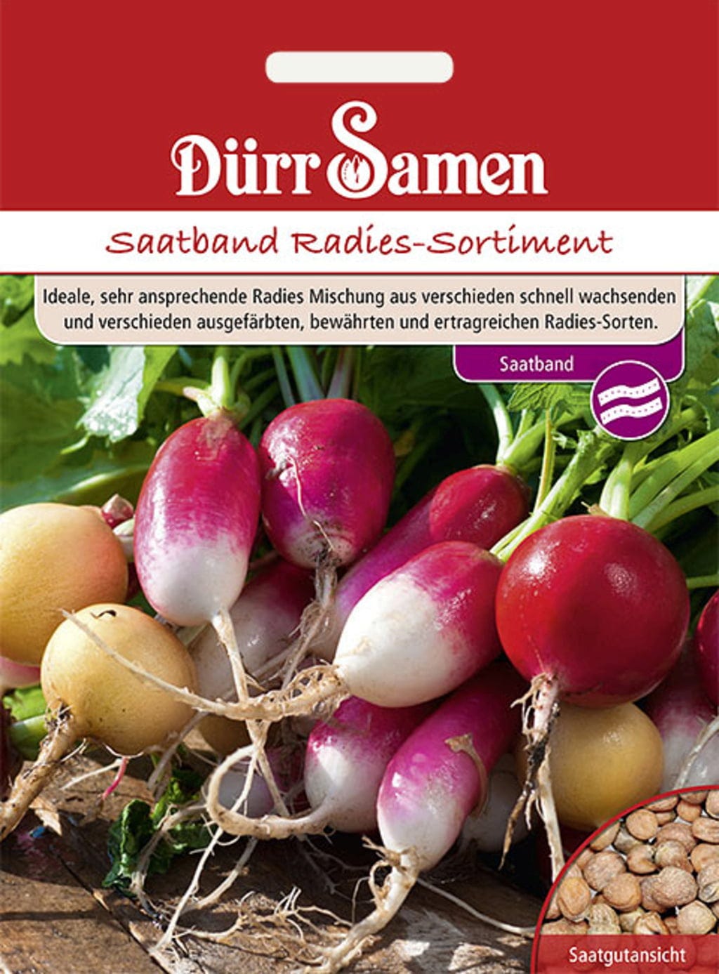 Saatband Radies-Sortiment