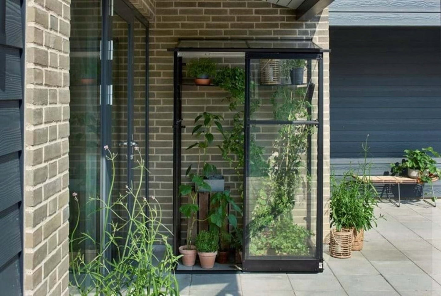 Halls Gewächshaus "Qube Lean-to", 0,8 M² (24)