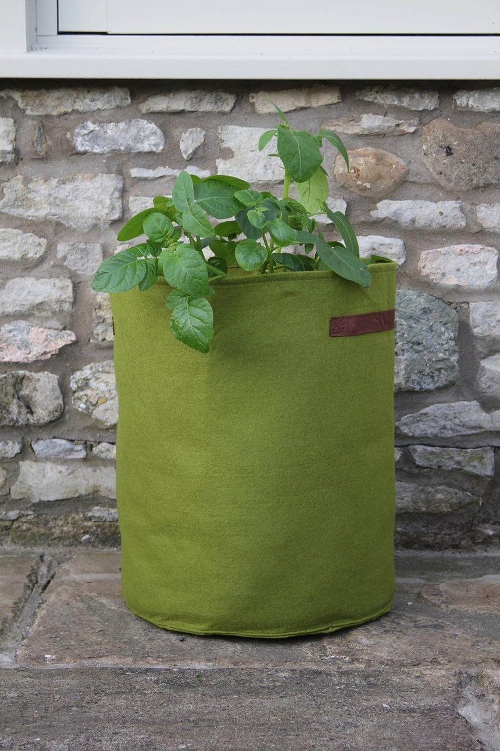 Vigoroot Kartoffel- Und Tomatenpflanztasche