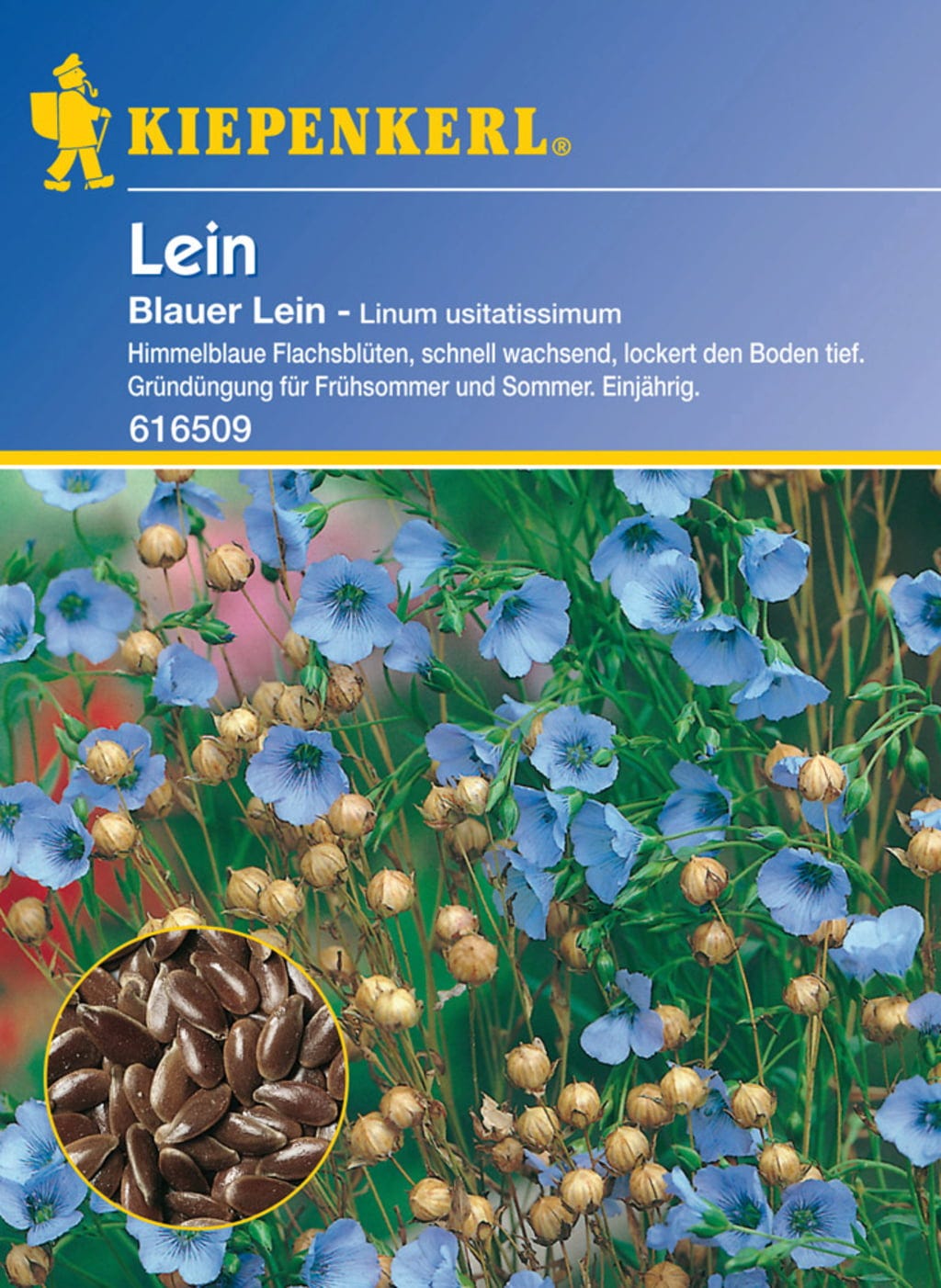 Leinsaat