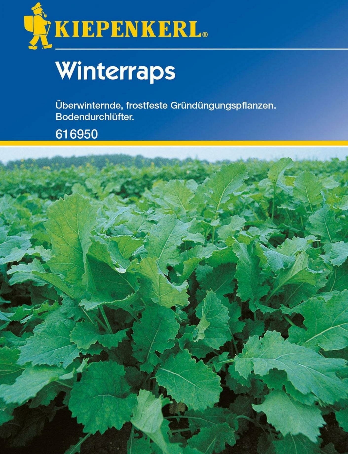 Winterraps "Licapo"