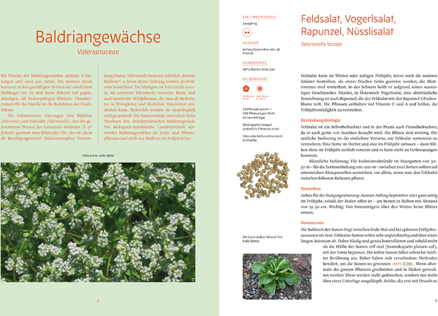 Handbuch Samengärtnerei