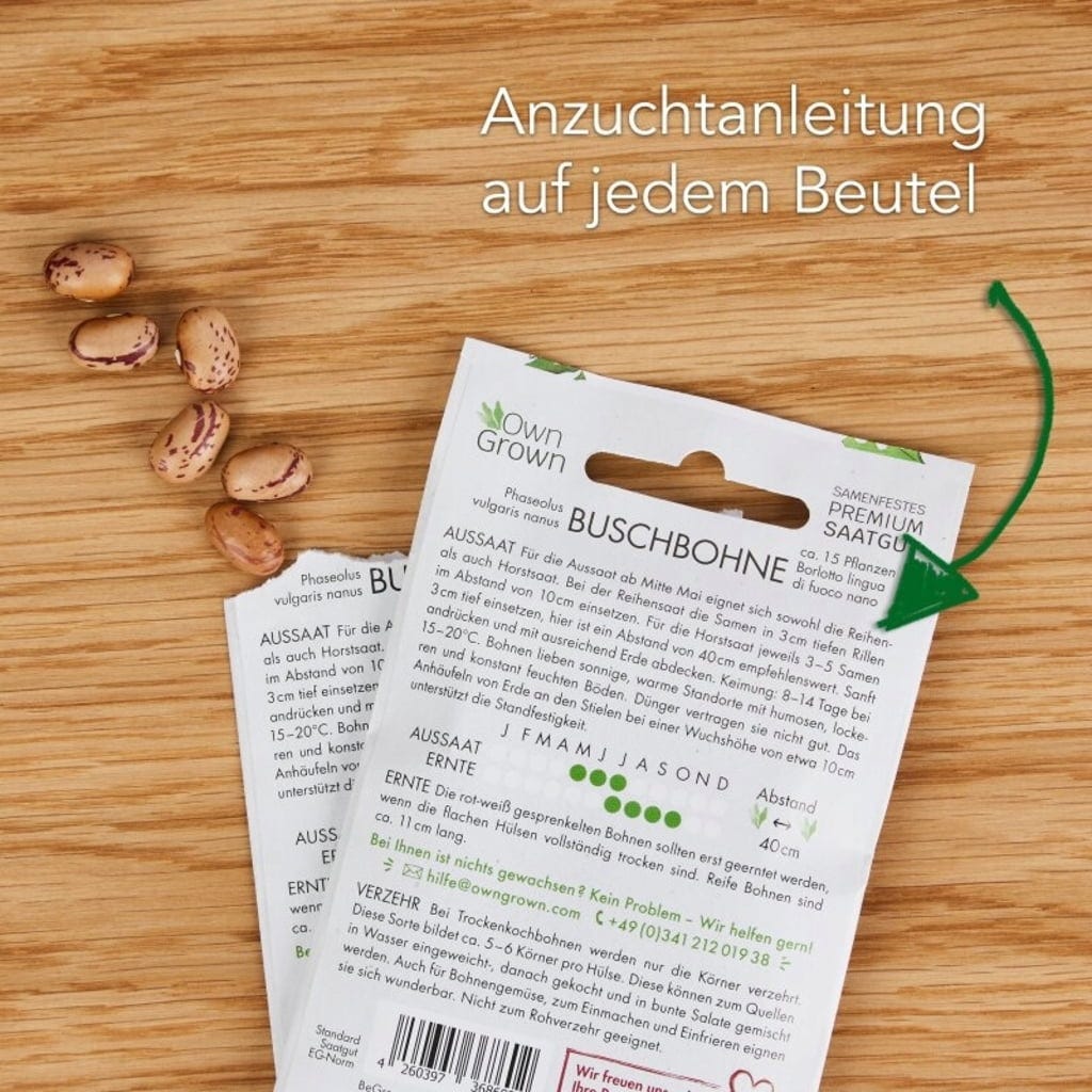 Bohnen-Samen 6er Set
