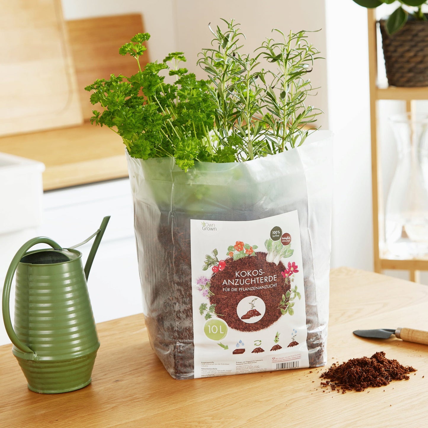 Kokoserde Quellblock 10 L