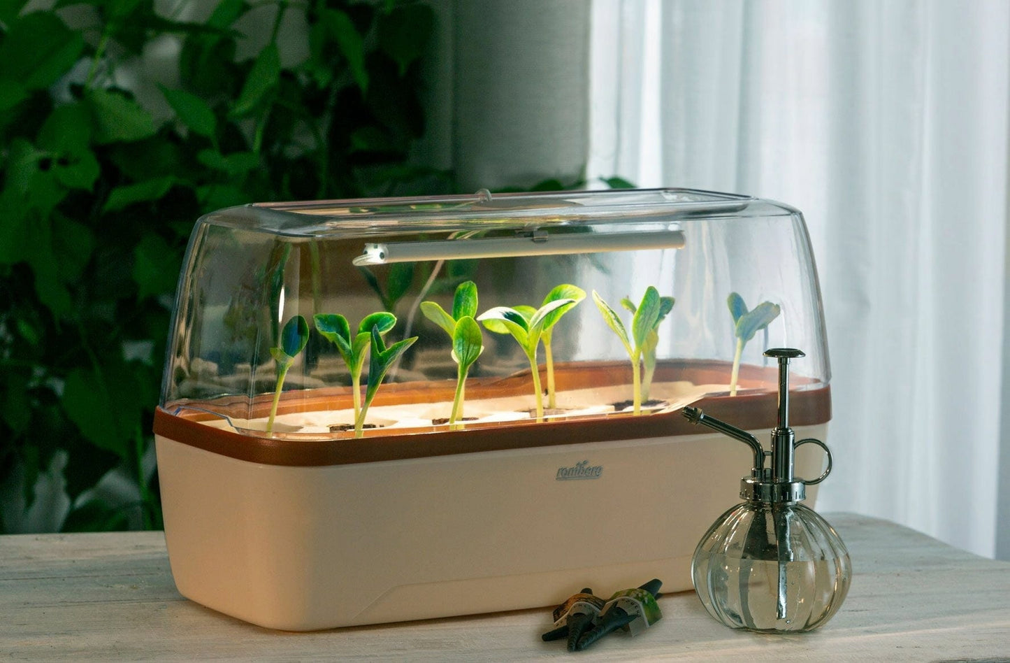 Gewächshaus & Pflanzkasten BoQube L PLUS LED - Creme-Kupferbraun