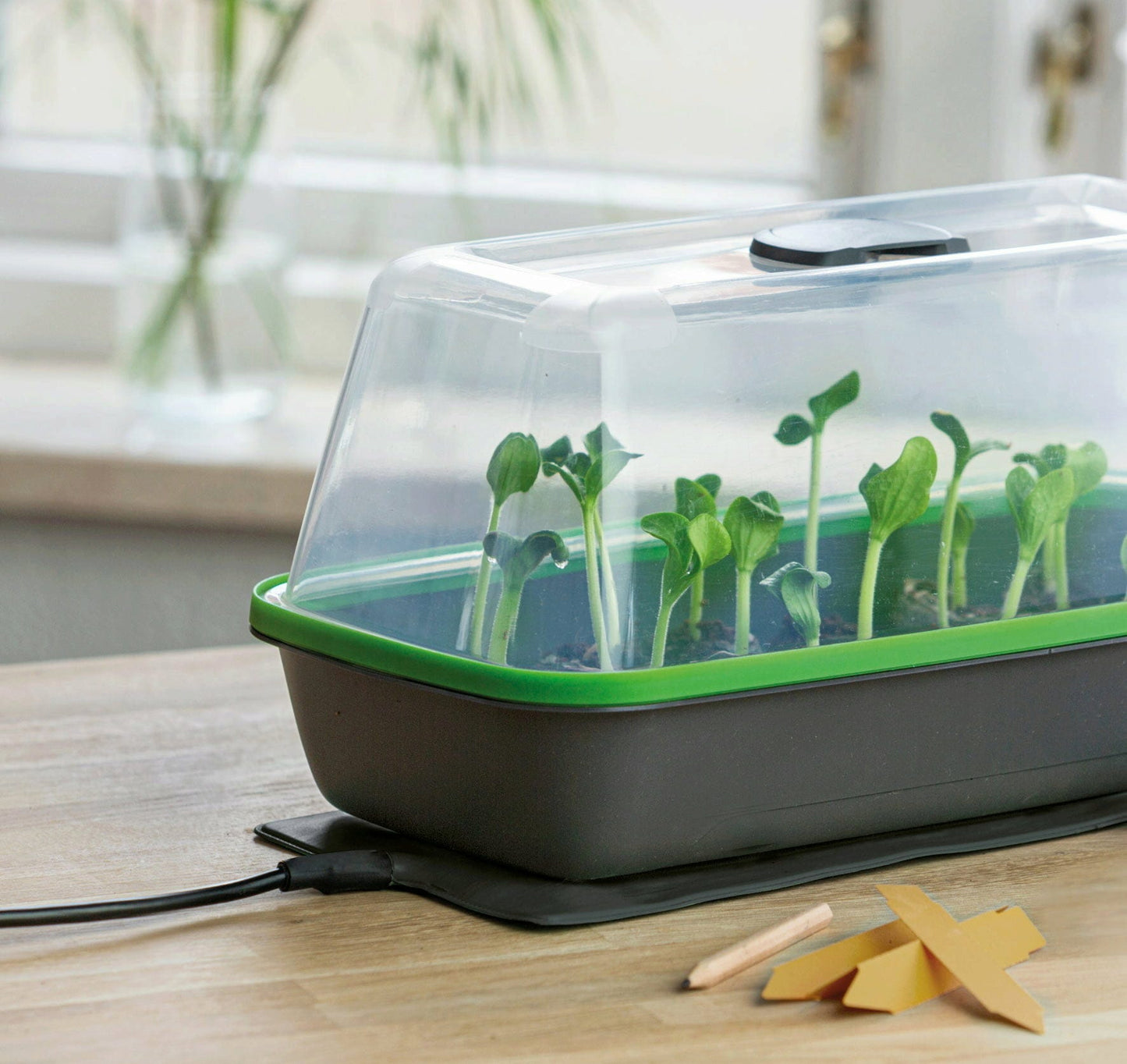 Gewächshaus & Pflanzkasten BoQube M PLUS LED & Heizmatte - Anthrazit-Sommergrün