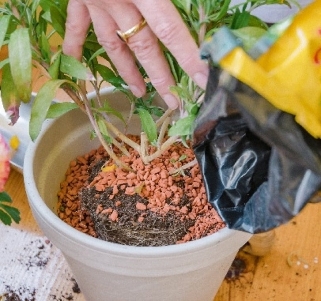 Bio-Pflanz-Granulat Für Hochbeete, Balkon- & Kübelpflanzen, 12,50 L