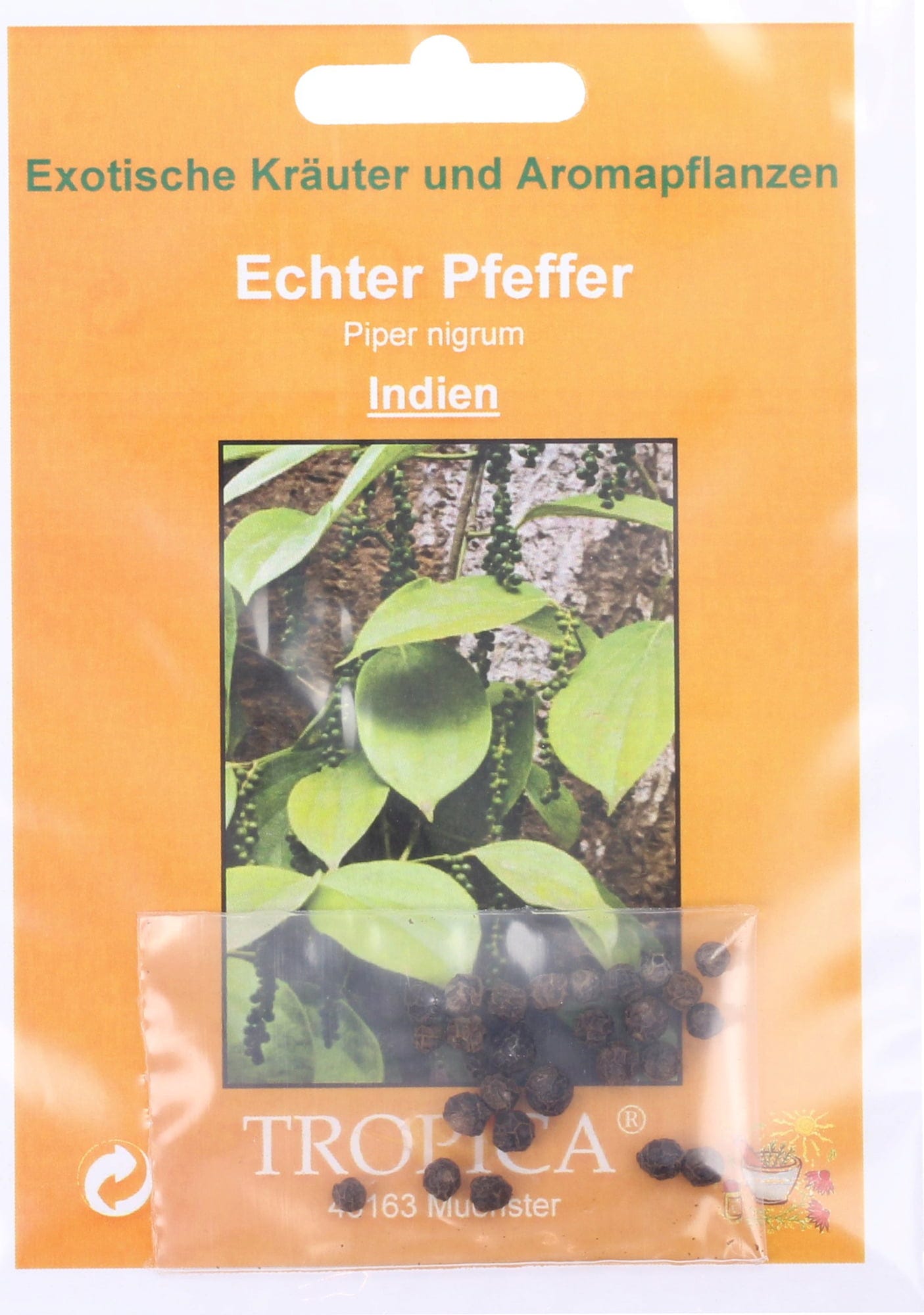 Echter Pfeffer