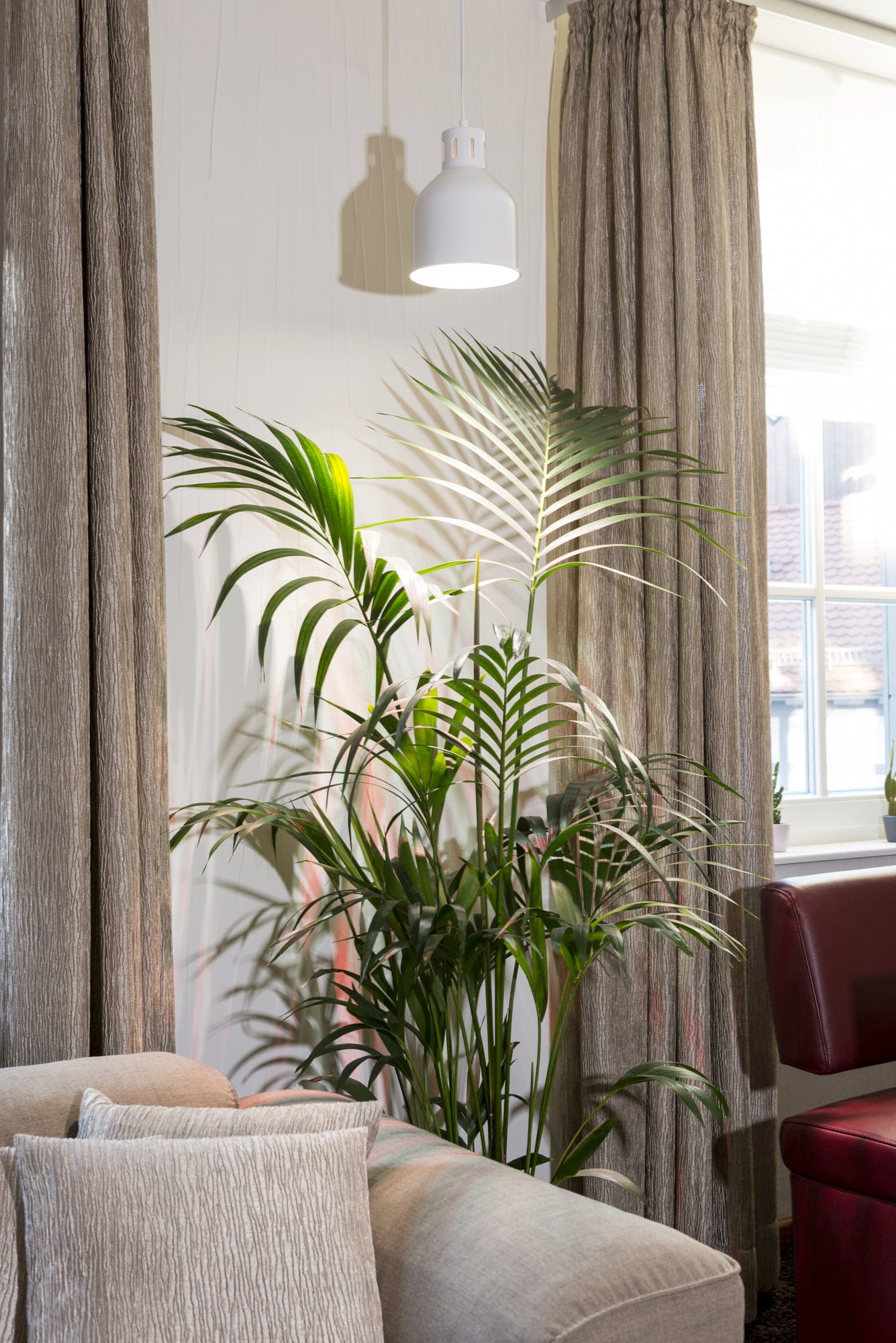 E27 Pflanzenlampe "Indoor Plants", 18 Watt