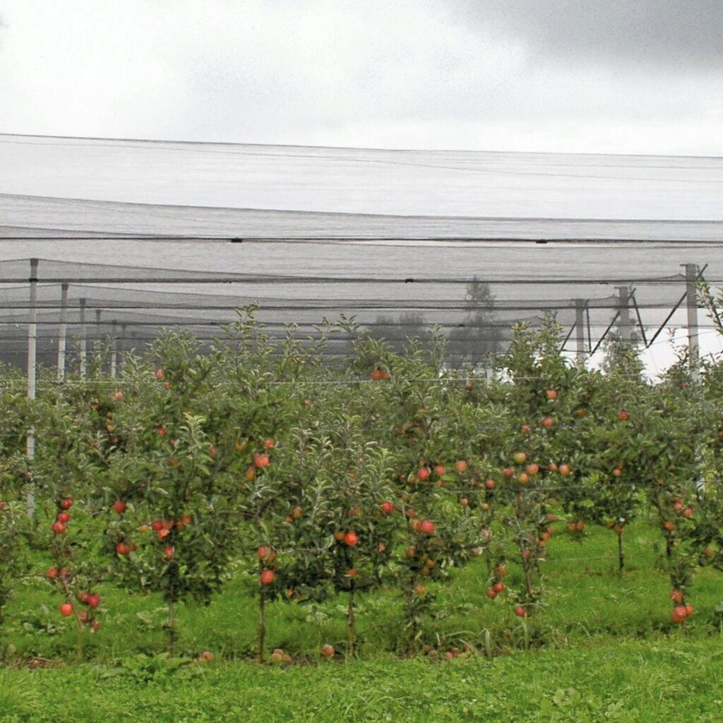 Windhager Hagelschutz-Netz, 5x4m