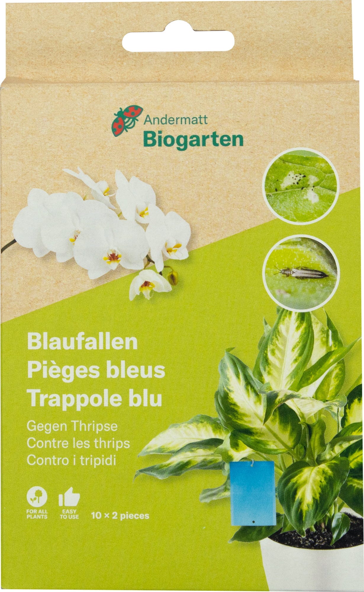  Blaufalle