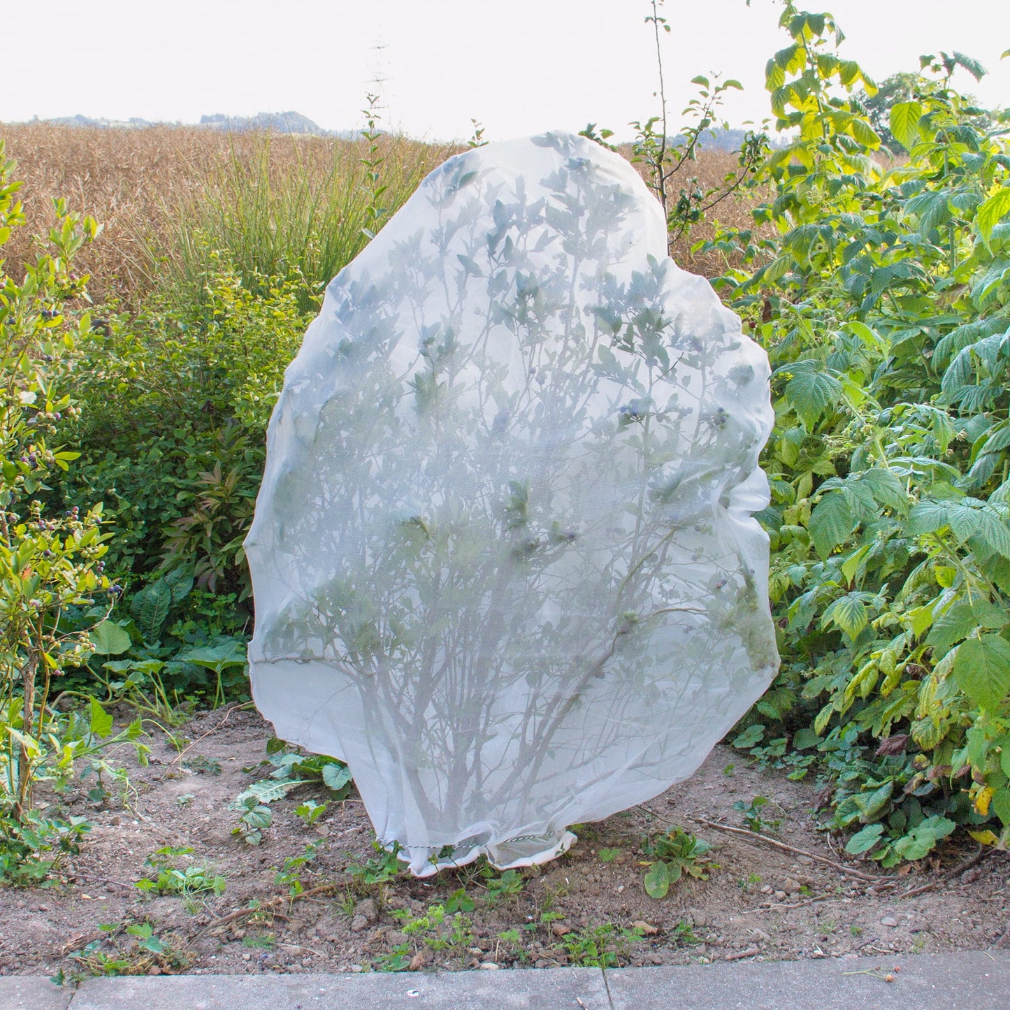  InsectoNet - Kulturschutznetz, 5 X 2,1 M