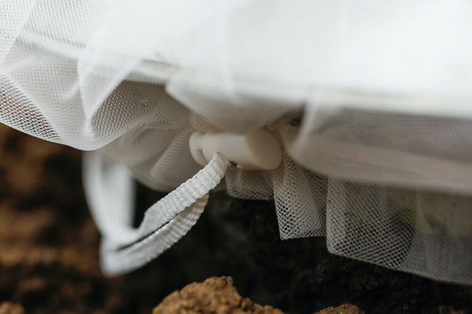  Insektenschutz-Tasche "Gemüse", 6 Stück