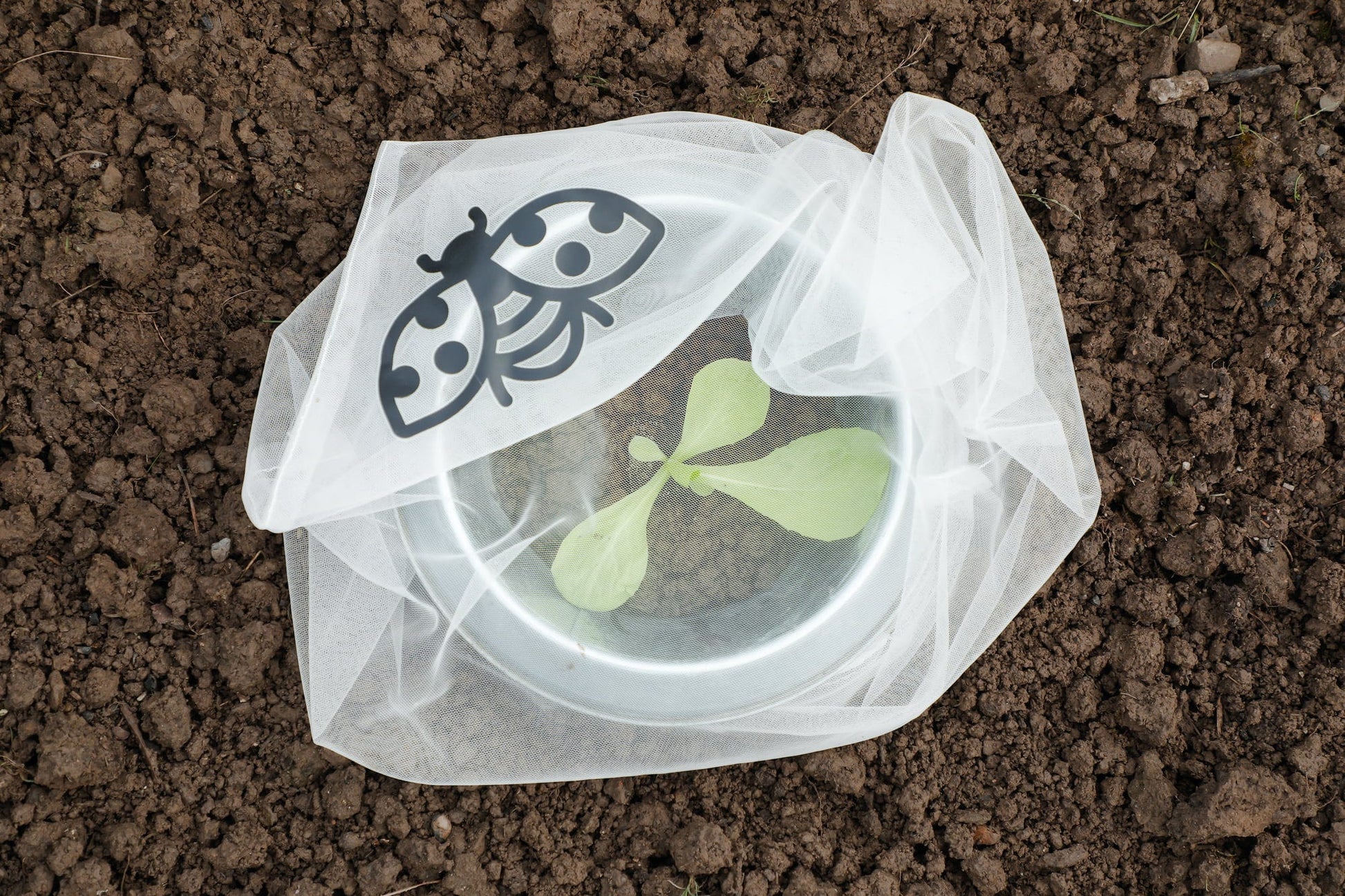 Insektenschutz-Tasche "Gemüse", 6 Stück