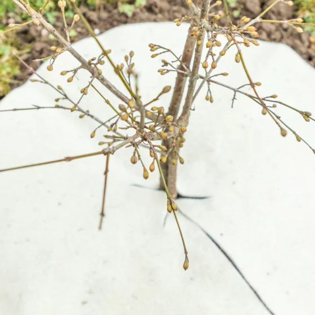  Mulchscheiben, ∅ 25 Cm