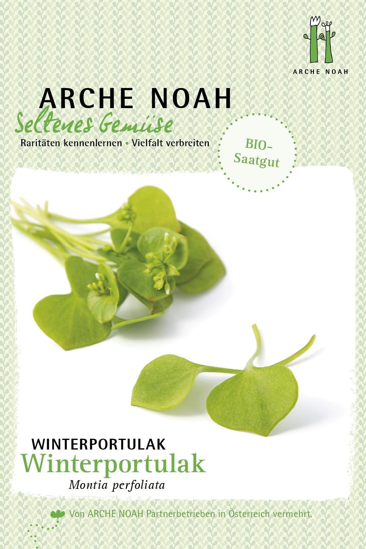  Bio Winterpostelein/Portulak