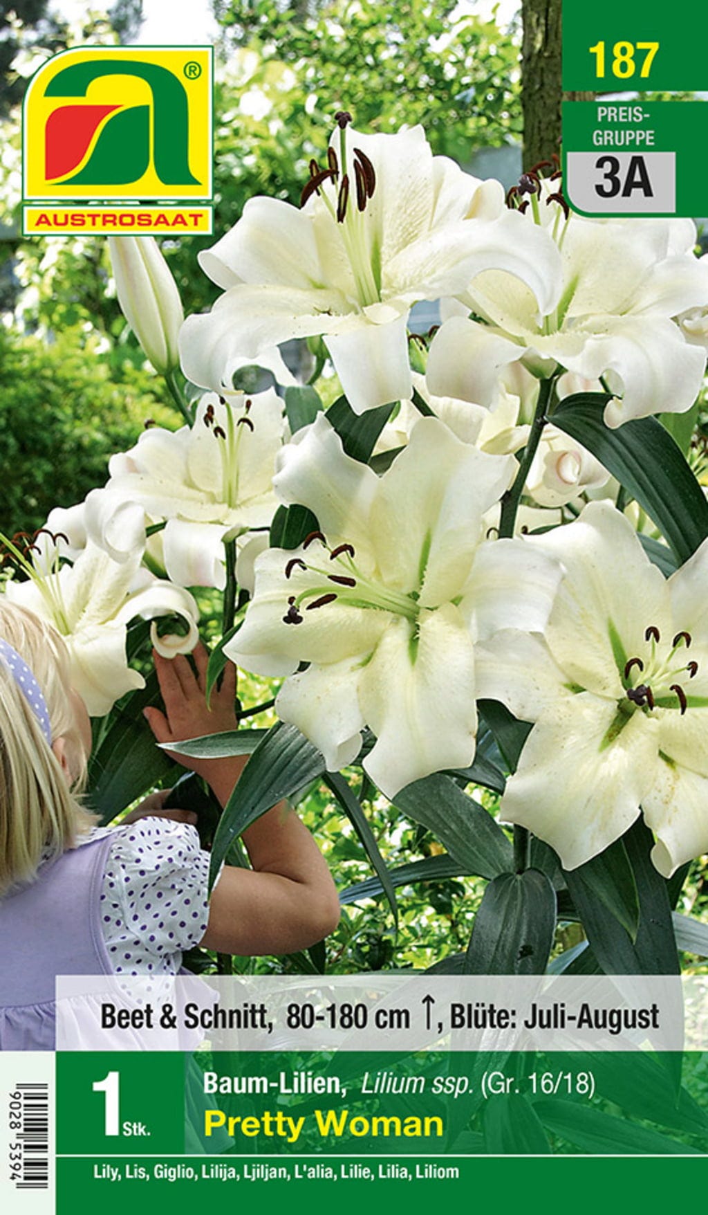  Blumenzwiebel, Baumlilien Pretty Woman