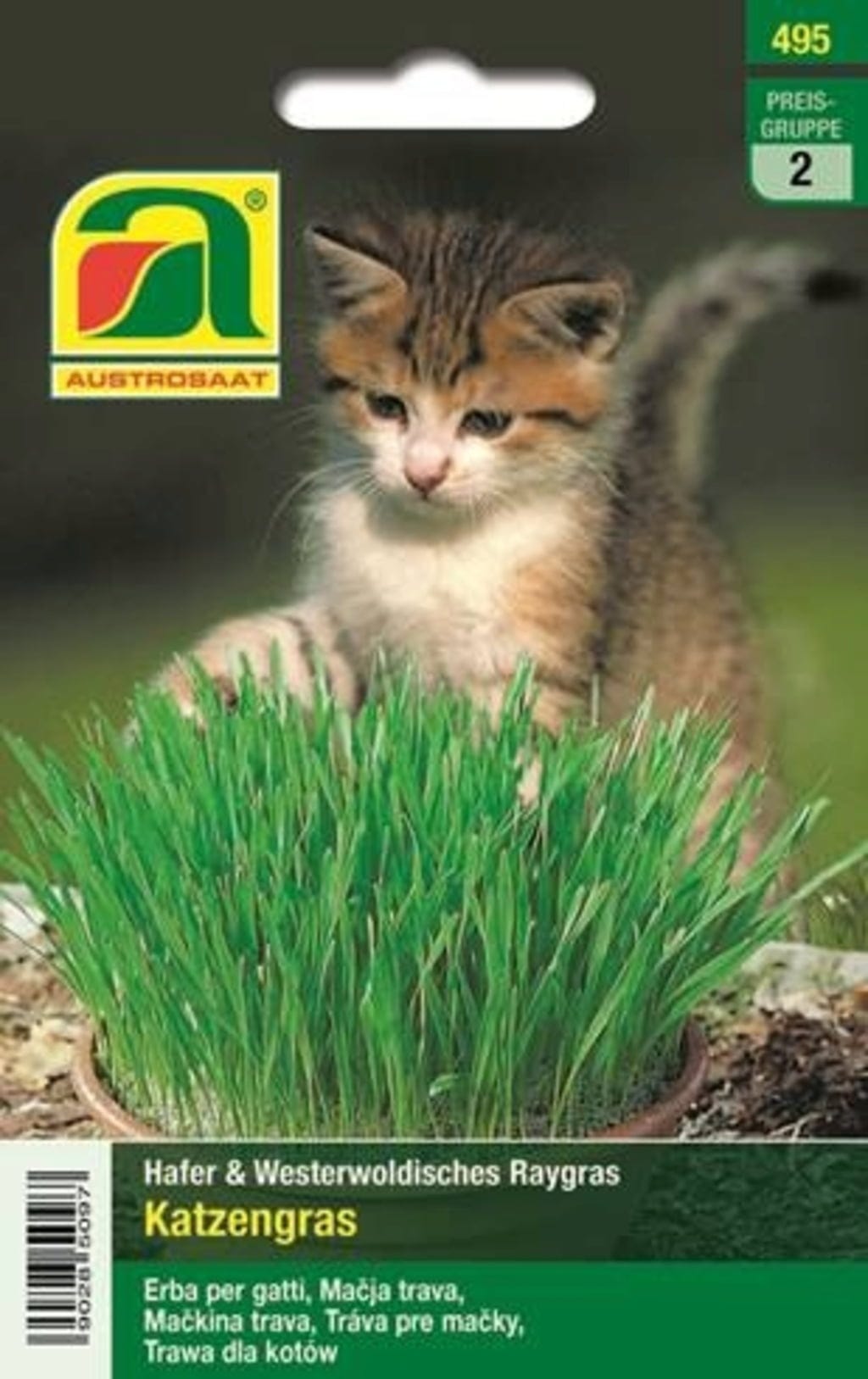  Katzengras
