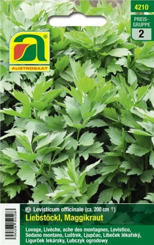  Liebstöckl "Maggikraut"