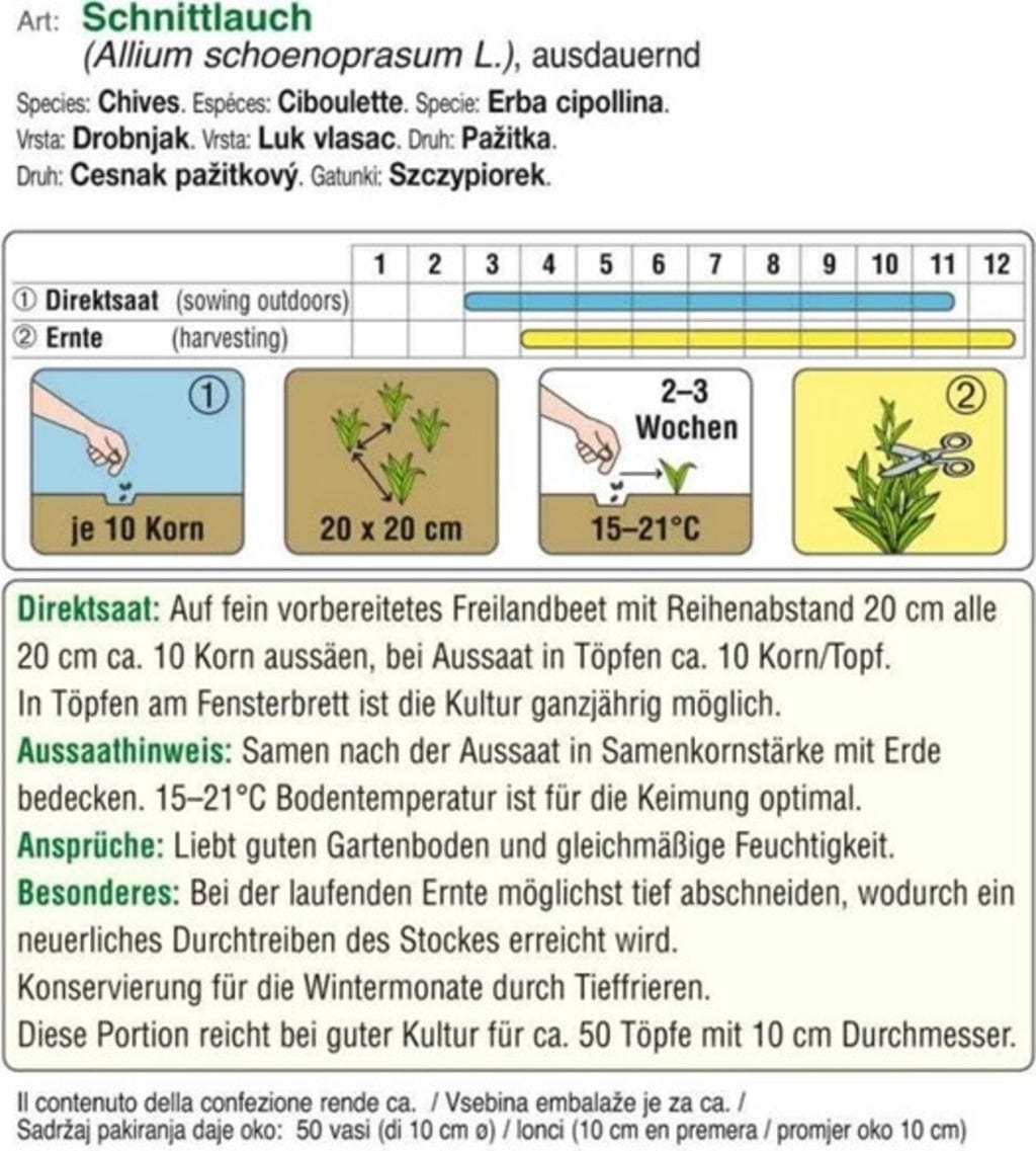  Mittelgrobröhriger Schnittlauch