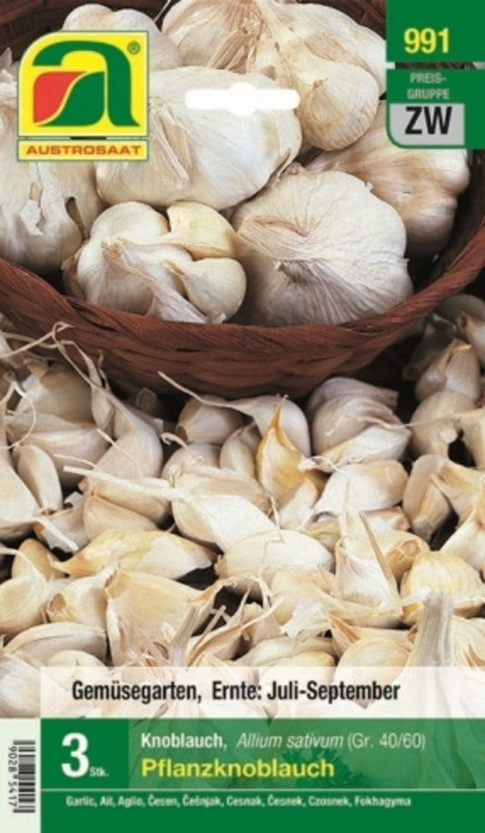  Pflanzknoblauch Gr. 40/60, 3 Stück