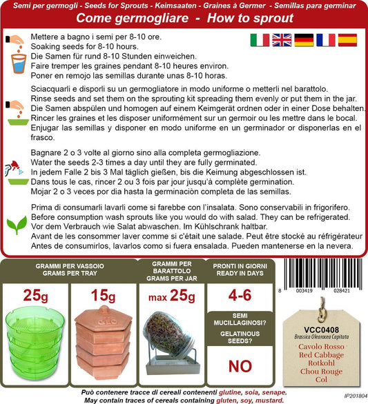  Bio Keimsprossen "Rotkohl", 12 G