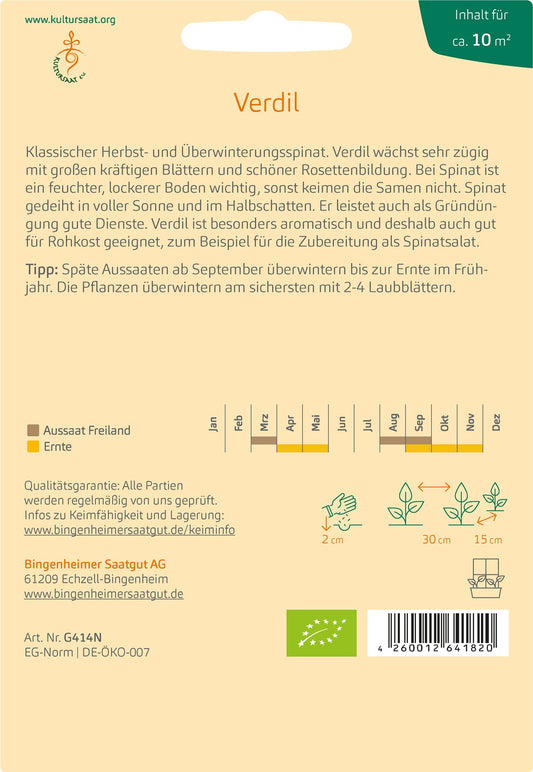 Spinat "Winterriesen/Verdil"