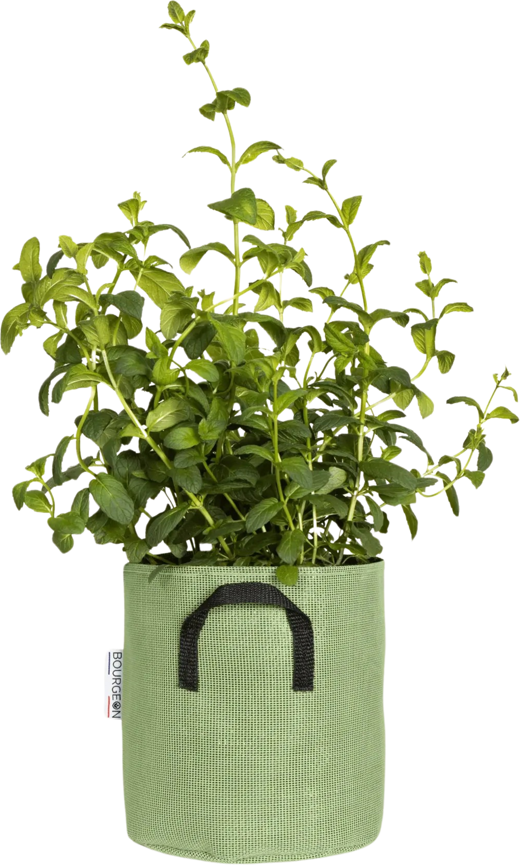  Pflanztasche Aus Geotextil ∅ 20 Cm, Grün