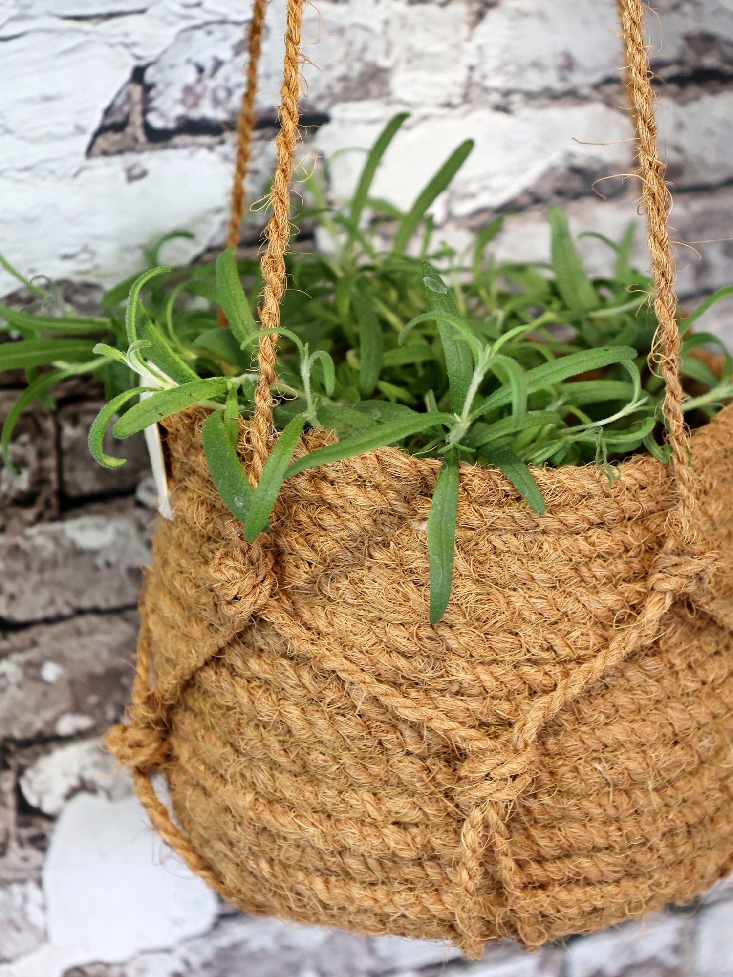  Blumenampel Korb Natur, H14/D18 Cm