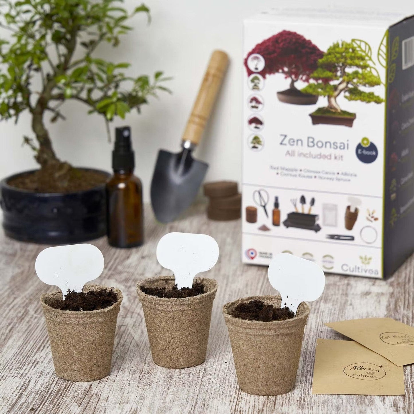 Bonsai Anzucht-Set "Ready To Grow"