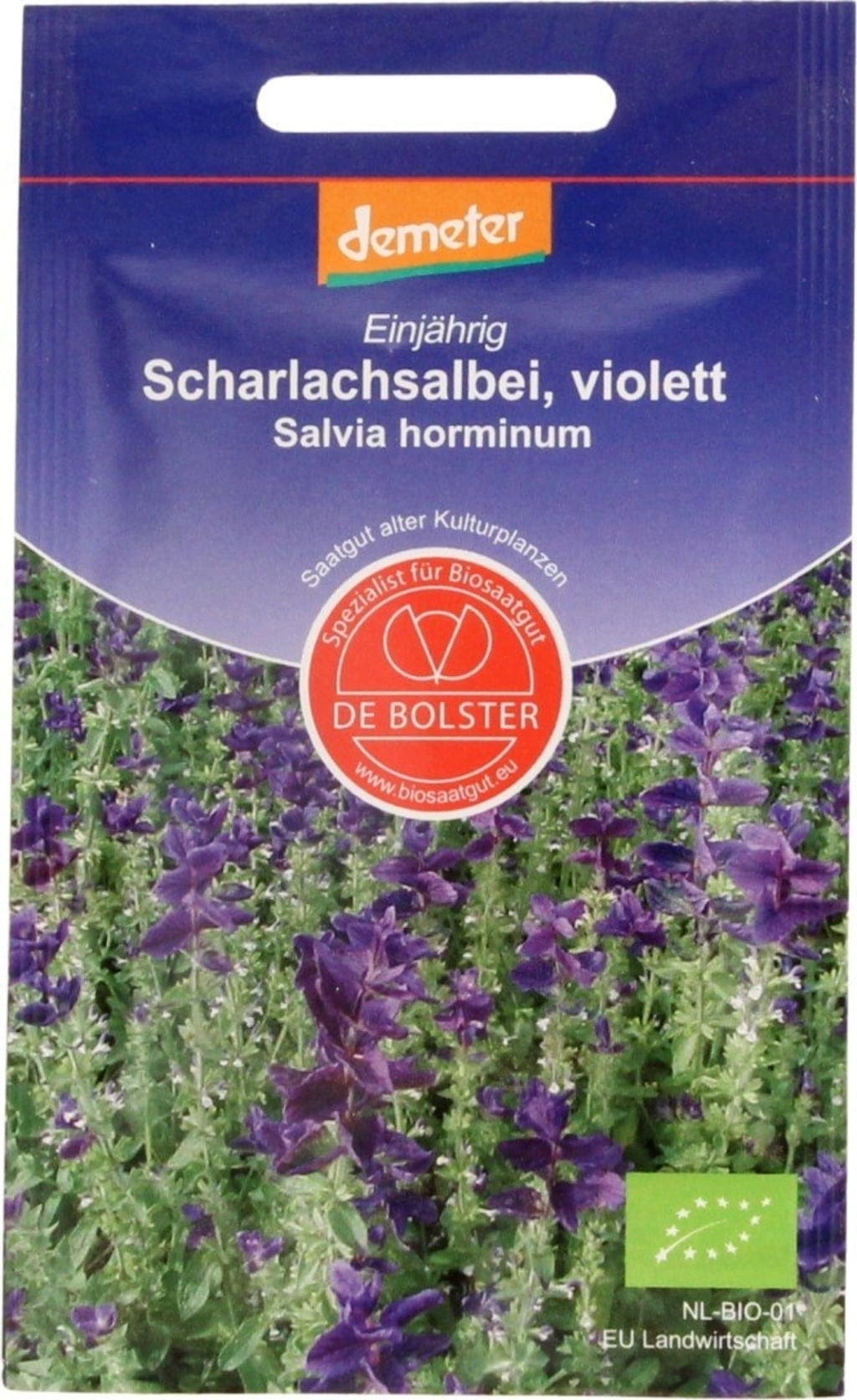  Scharlachsalbei, 1 G