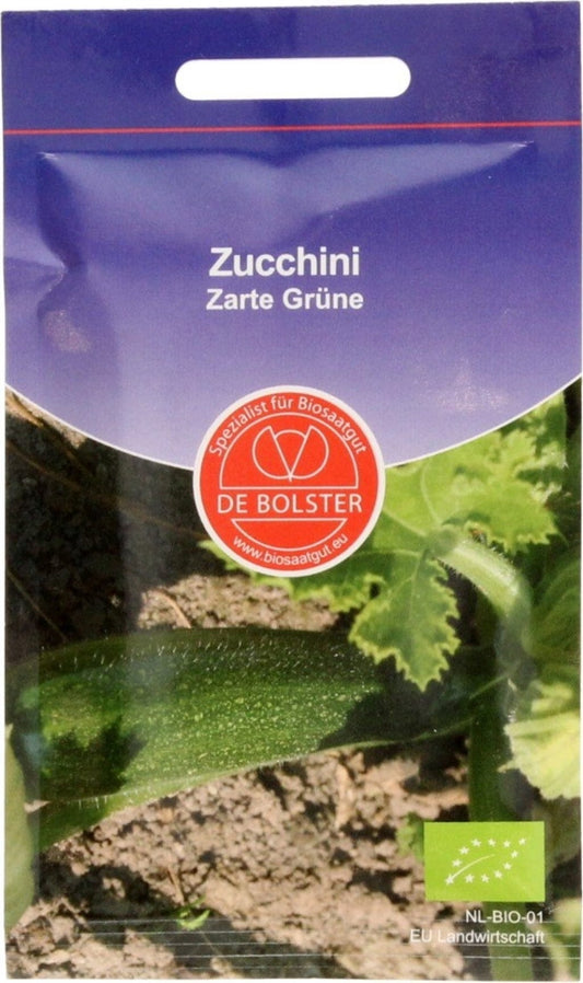  Zucchini "Zarte Grüne", 3 G