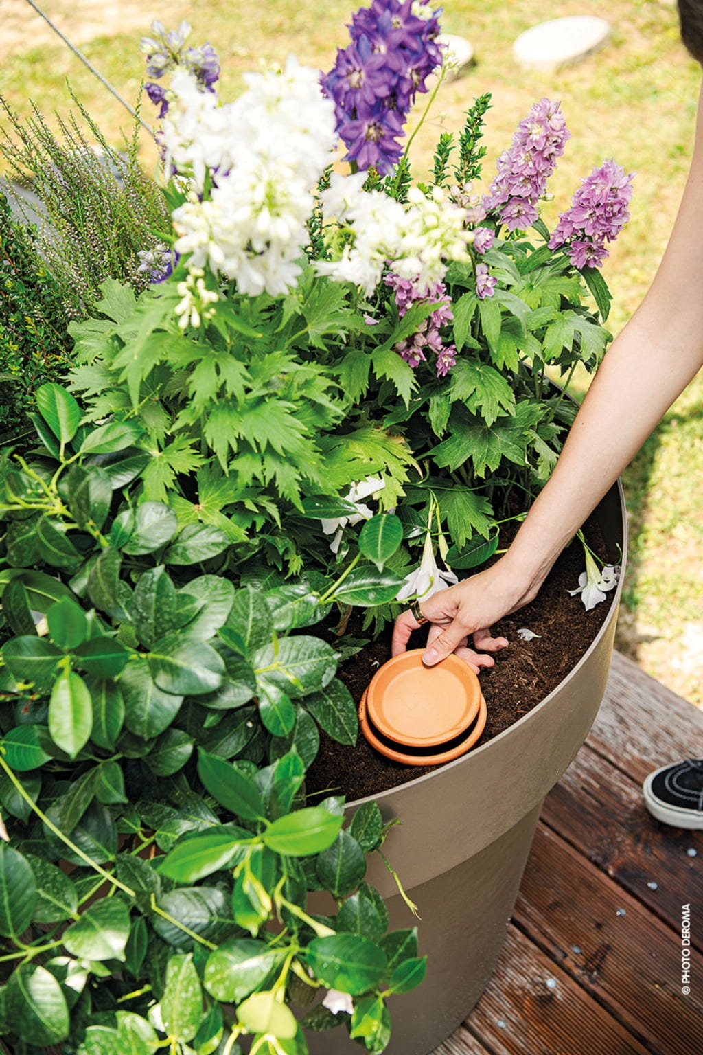  AquaDO - Olla Bewässerungsgefäß H 15 Cm - 6er Set