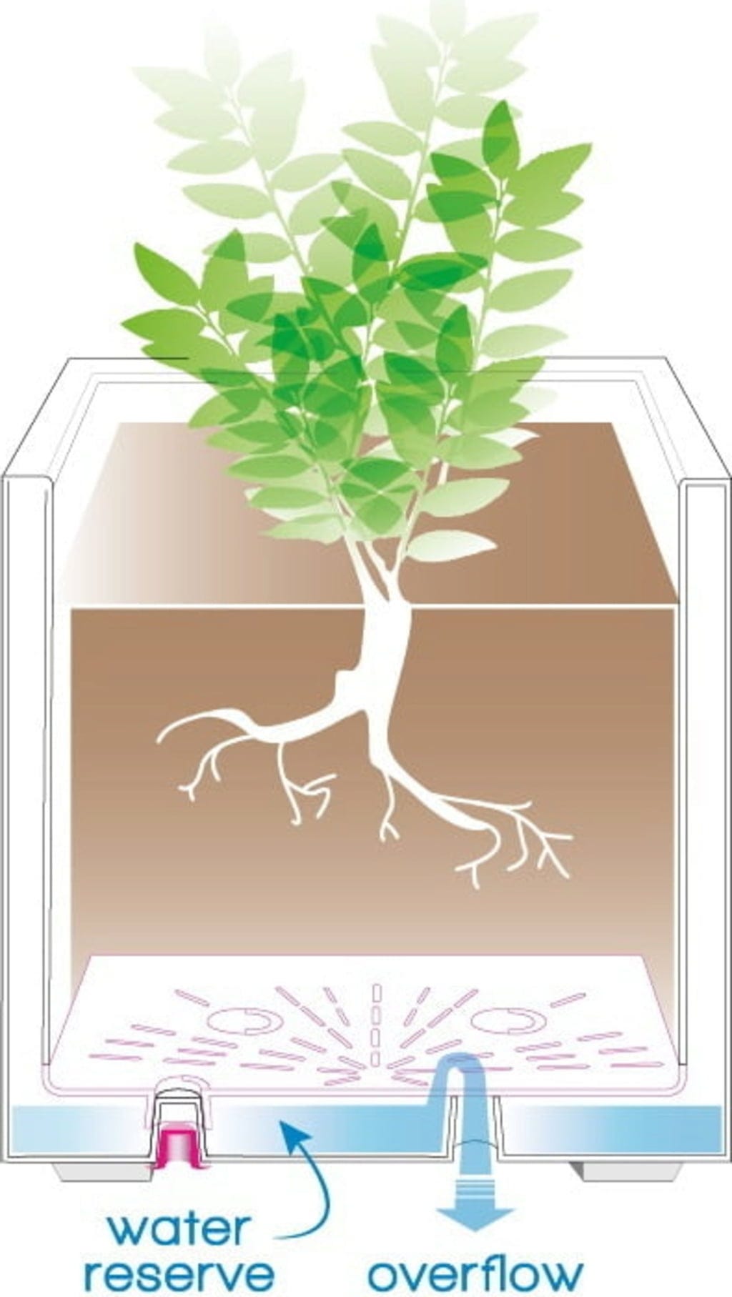  Pflanztopf "Millenium" 53 Cm Mit Wasserresevoir , Anthrazit