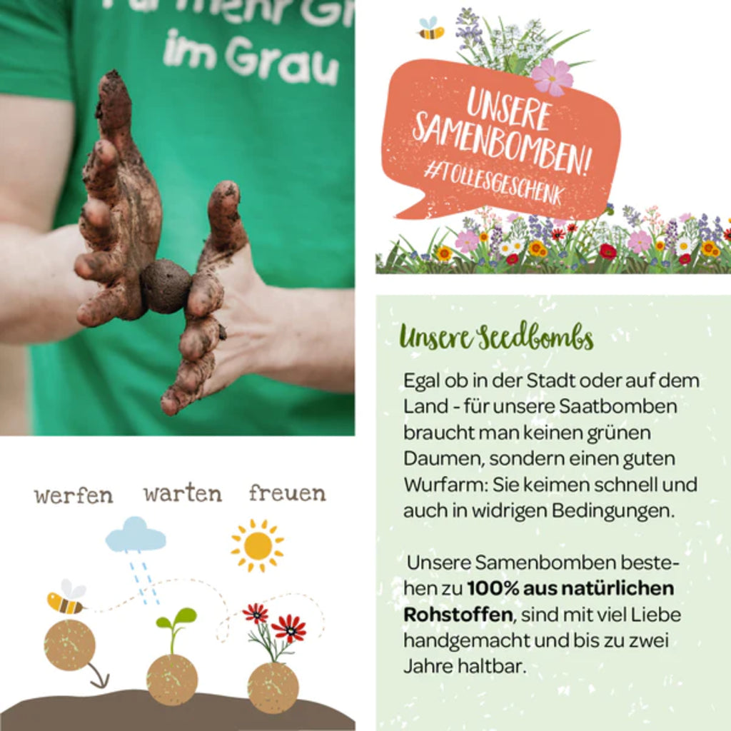  Samenbombe "Wildblumen"