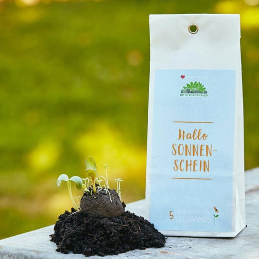  Samenbomben "Hallo Sonnenschein"