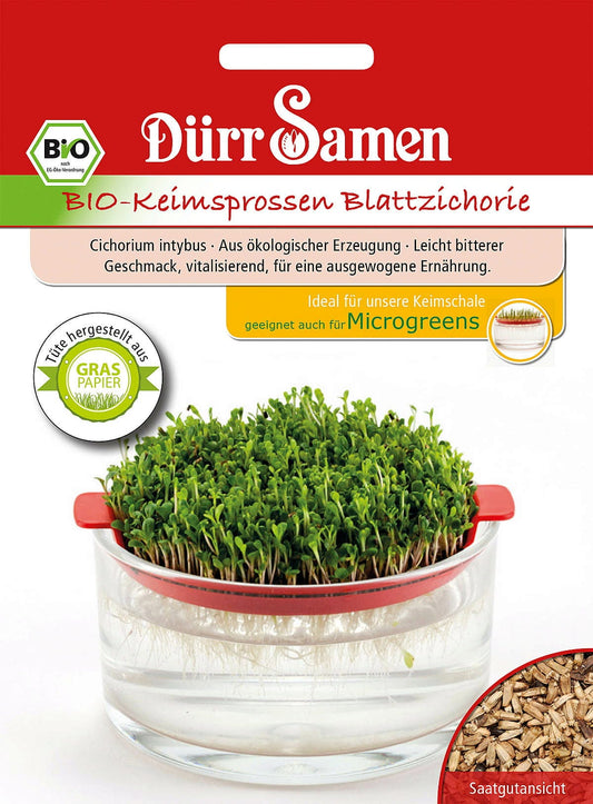  BIO-Keimsprossen Blattzichorie