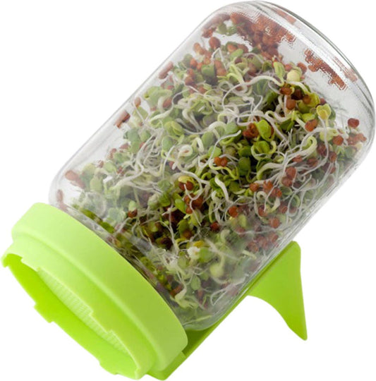  Sprossenglas, Mint