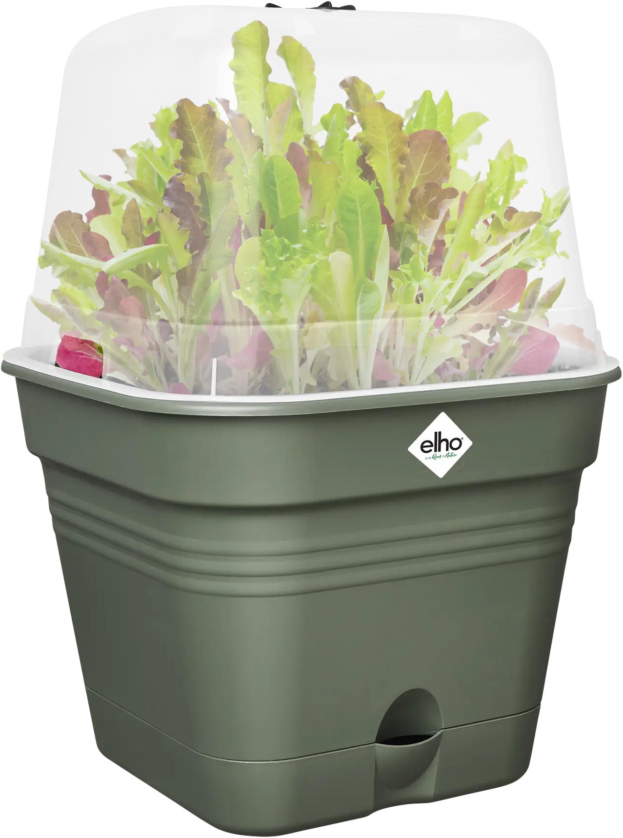 Elho Anzuchttopf Set Green Basics 30cm - Quadrat, Laubgrün
