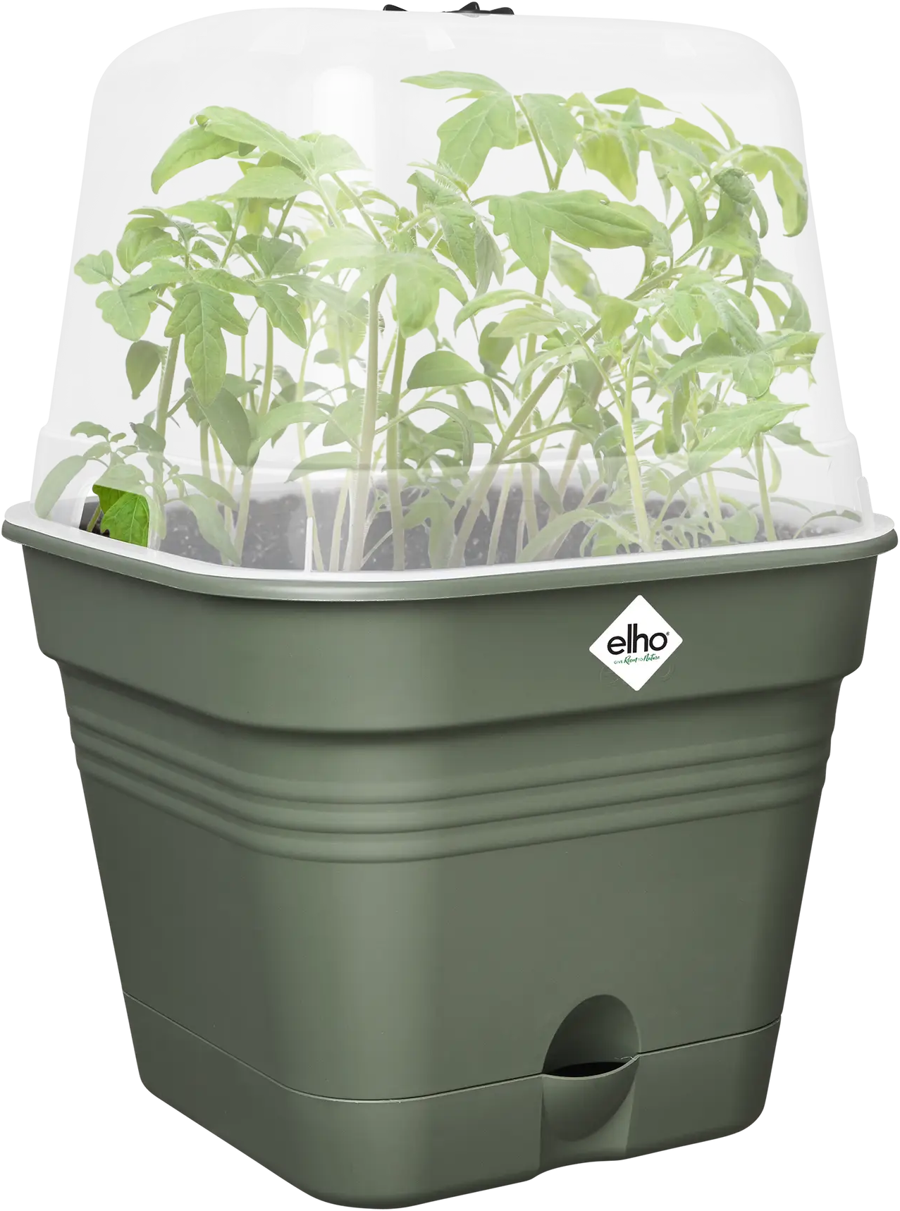 Elho Anzuchttopf Set Green Basics 30cm - Quadrat, Laubgrün