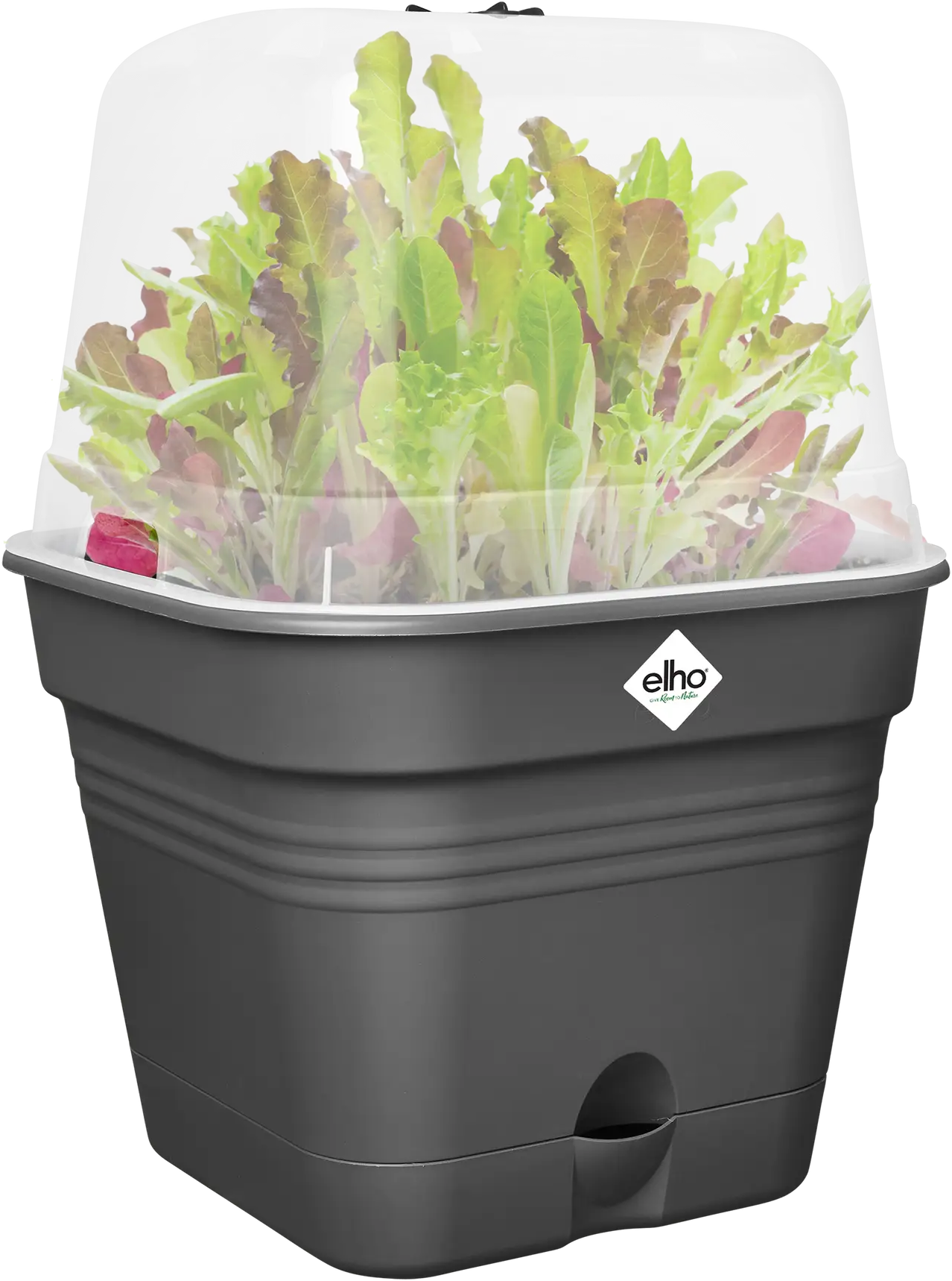 Elho Anzuchttopf Set Green Basics 35cm - Quadrat, Living Schwarz