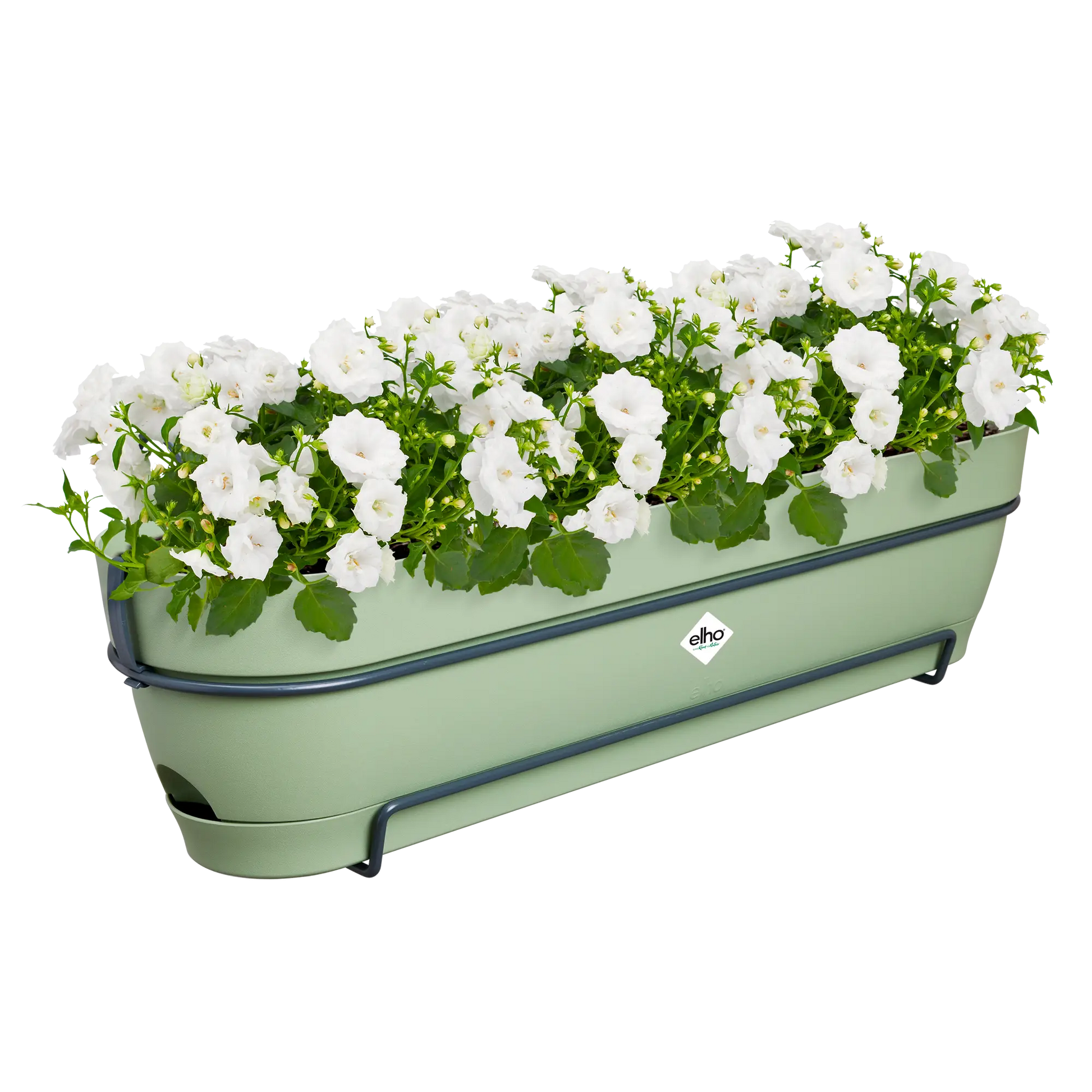 Elho Balkonkasten Vibia Campana Allin1, 70 Cm, Pistazien Grün