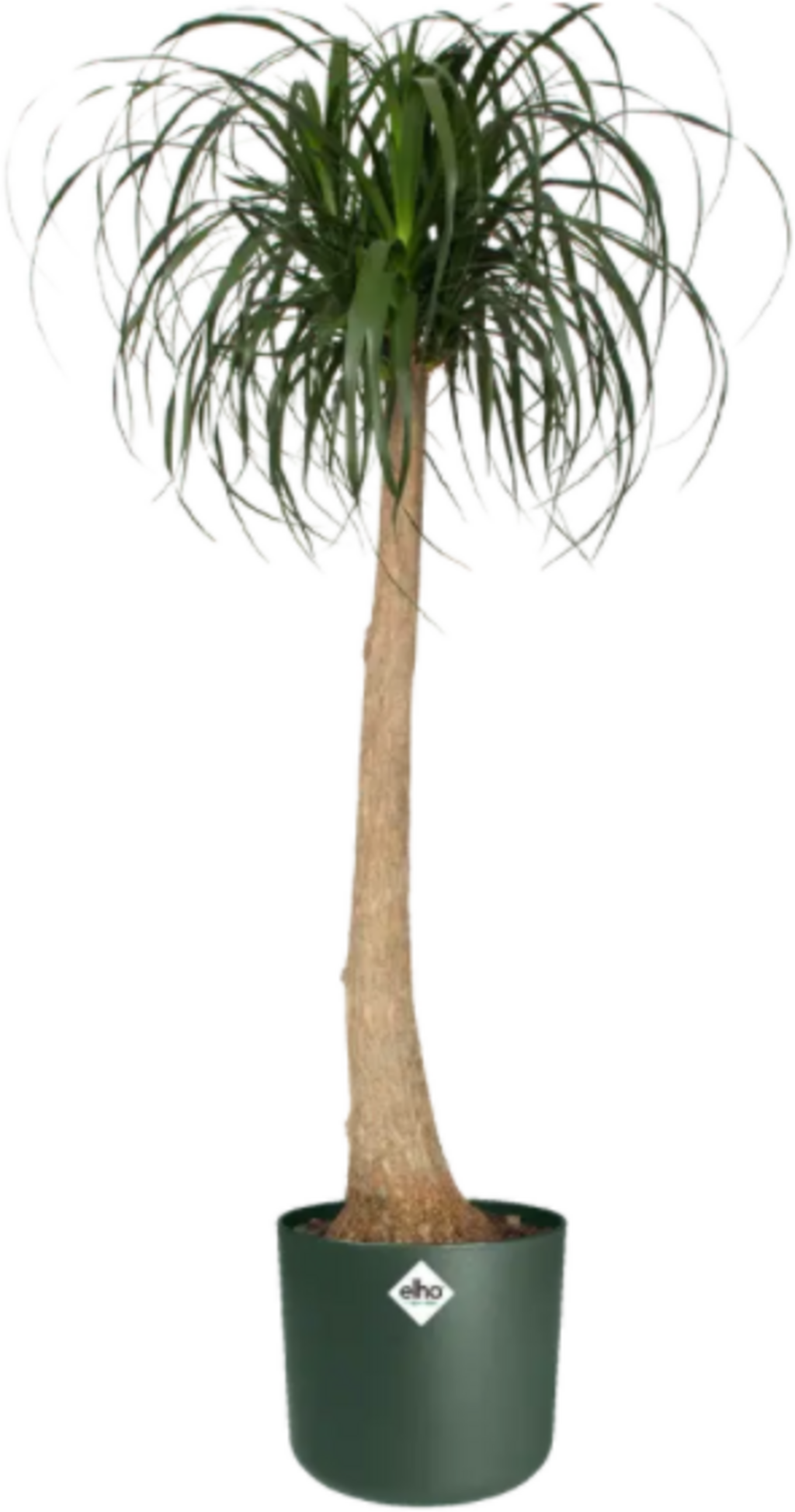 Elho B.for Soft Rund Laubgrün, Ø 18 Cm