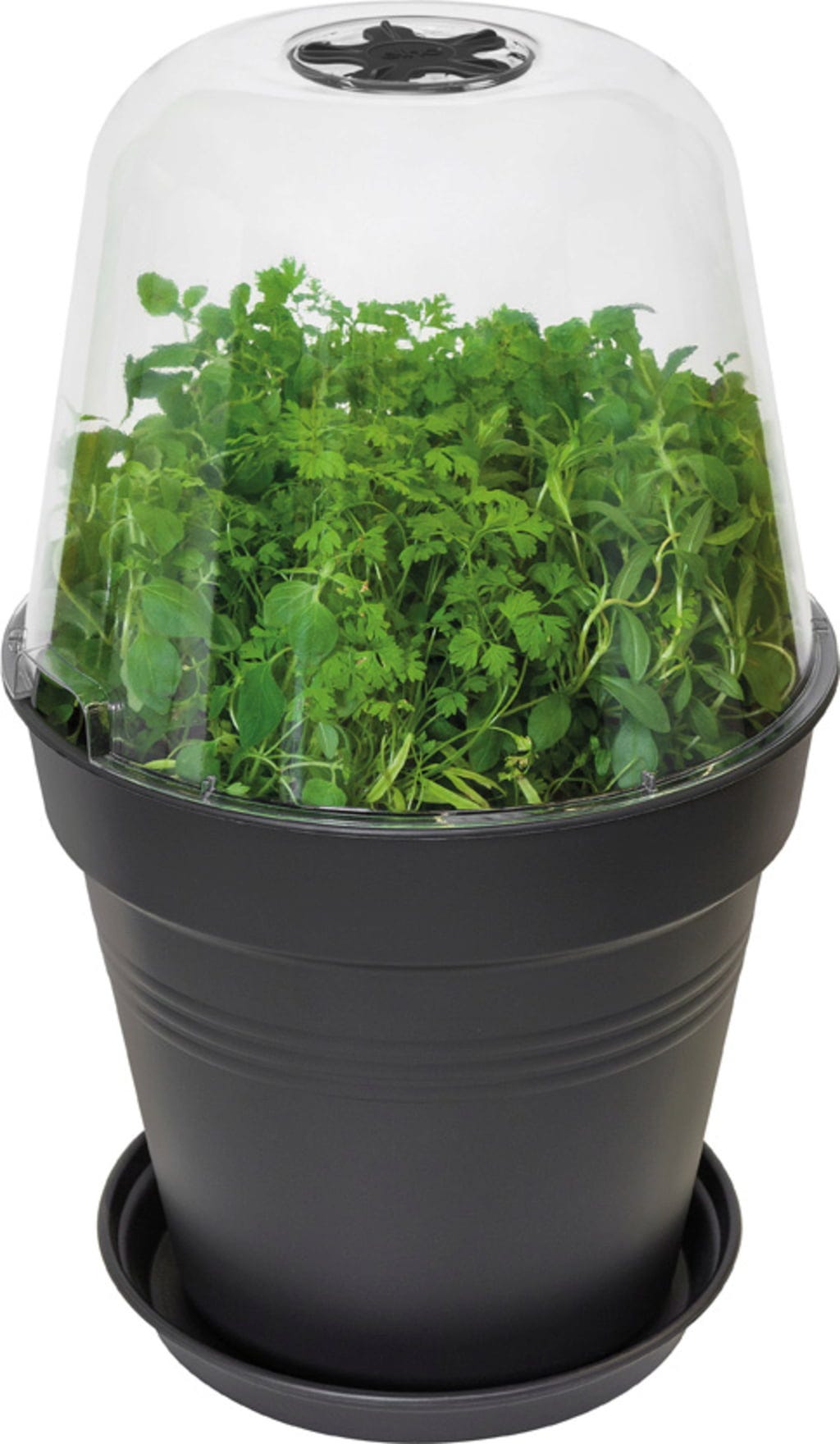 Elho Green Basics Anzucht Haus Rund, 30 Cm