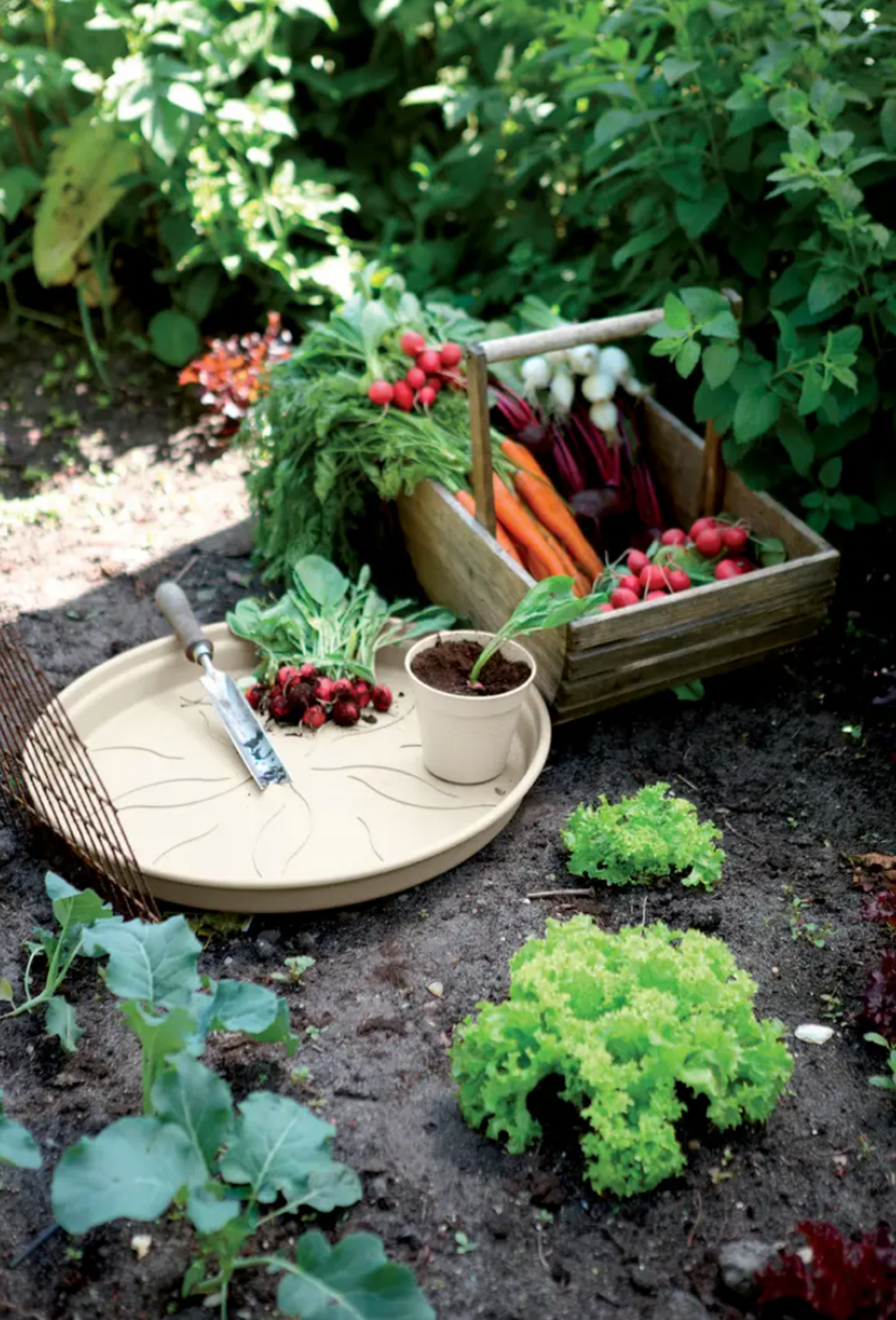 Elho Green Basics Untersetzer "baumwolle", 34 Cm
