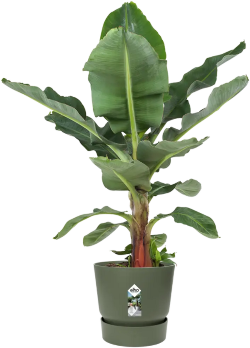 Elho Greenville Topf Rund 30 Cm, Laubgrün